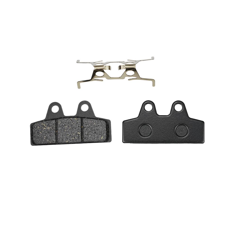 Pastiglie Freno Anteriori e Po - Brake Pads Bike recensione e prezzo