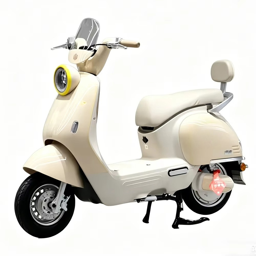 EER, moto elettrica per adulti - Brake Disc Motorcycle recensione e prezzo